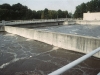 water-treat-plants-003